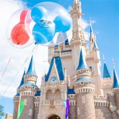 混雑予想 ディズニーランド ディズニーシー 5月 6月 7月 8月 9月 10月 ディズニーリアル